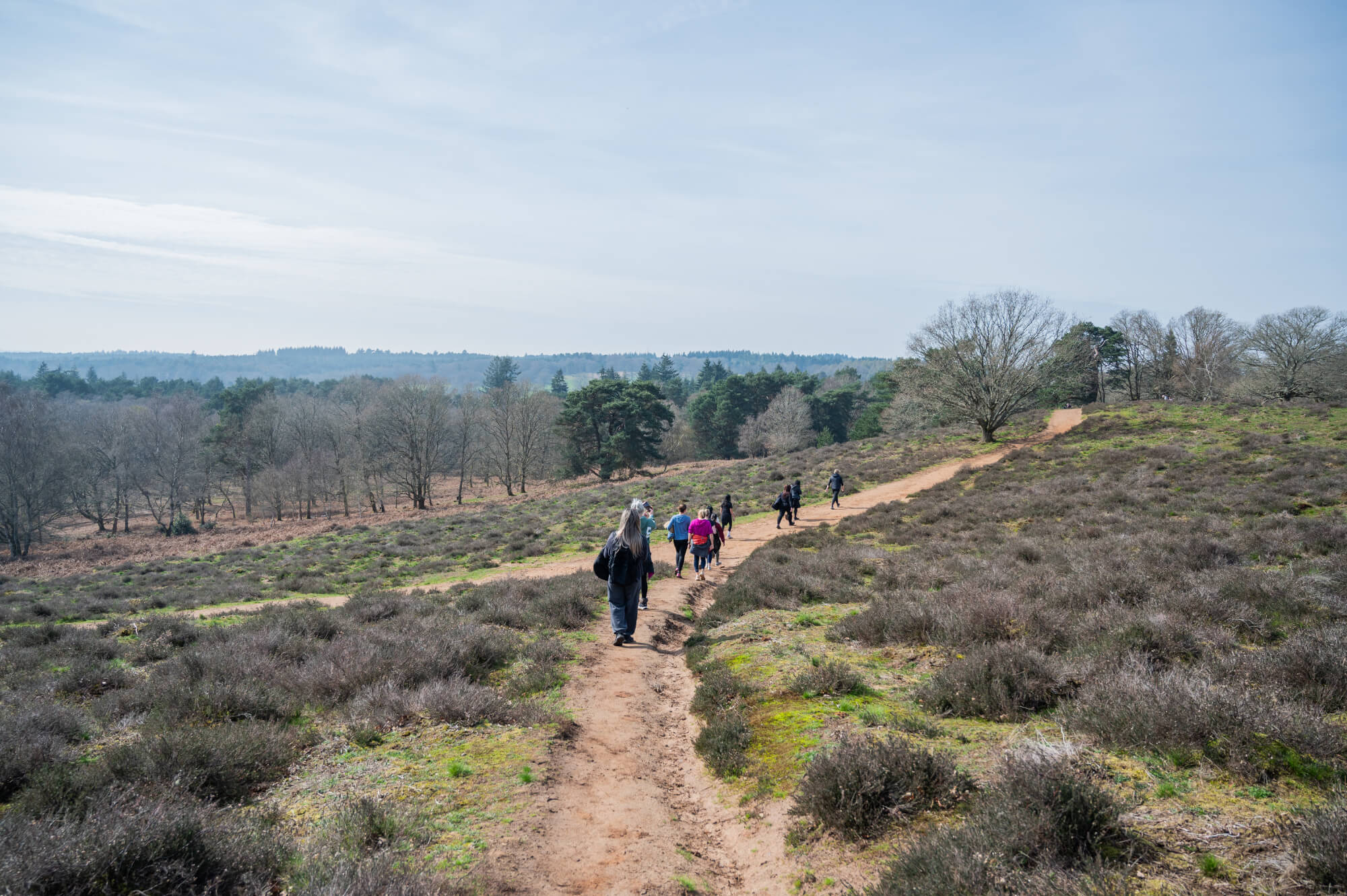 A corporate team are led on an Avandra Escapes hike in the Surrey countryside
